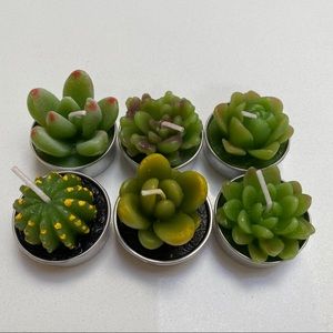 Succulent Tea Candles